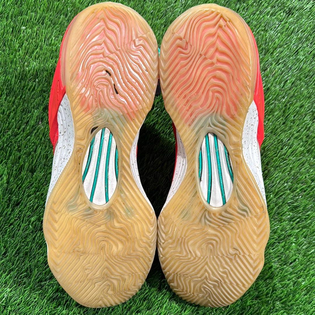 KD 7 Xmas 'Egg Nog' 10.5M/12W
