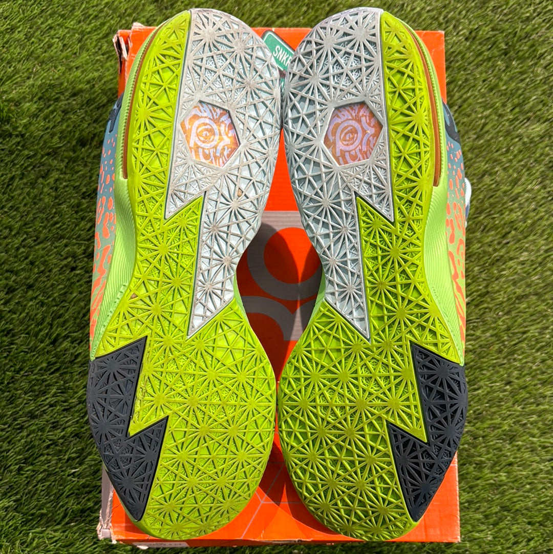 KD 6 'Liger'