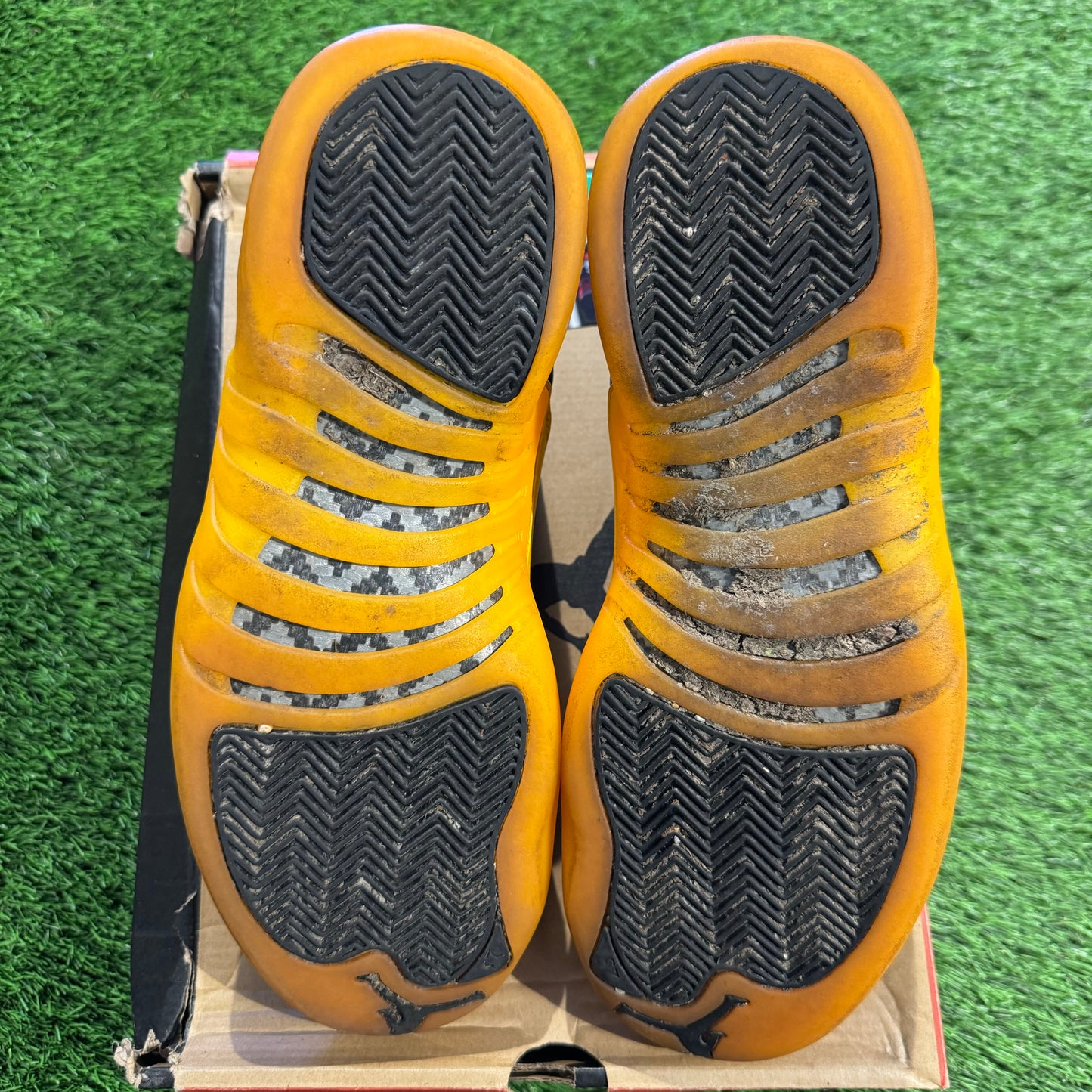 Air Jordan 12 Retro 'University Gold'