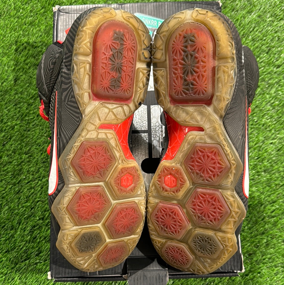 LeBron 12 'Court Vision'