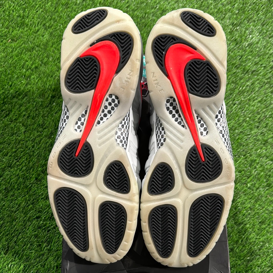 Air Foamposite Pro Premium 'Pure Platinum'