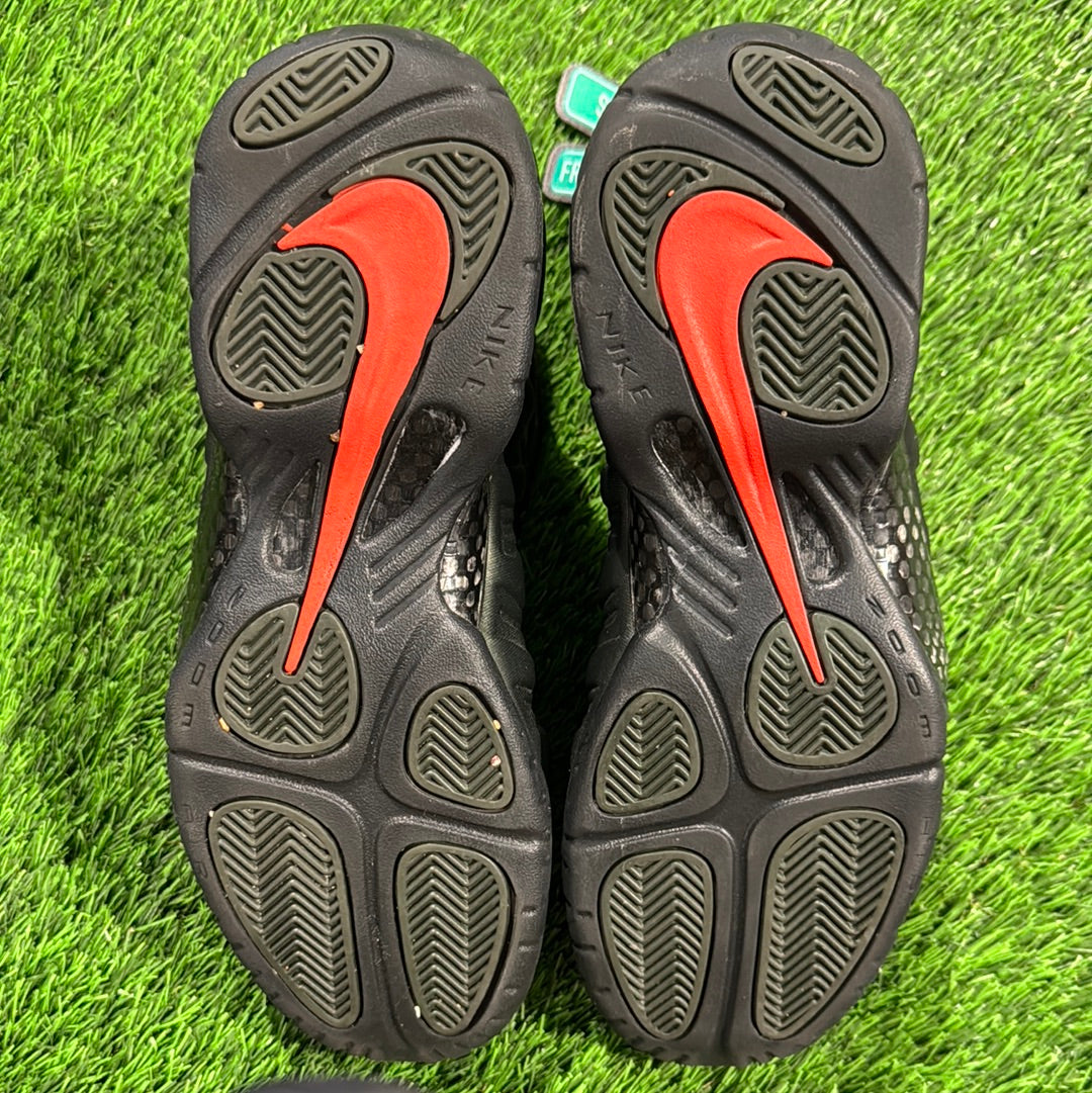 Air Foamposite Pro 'Sequoia'