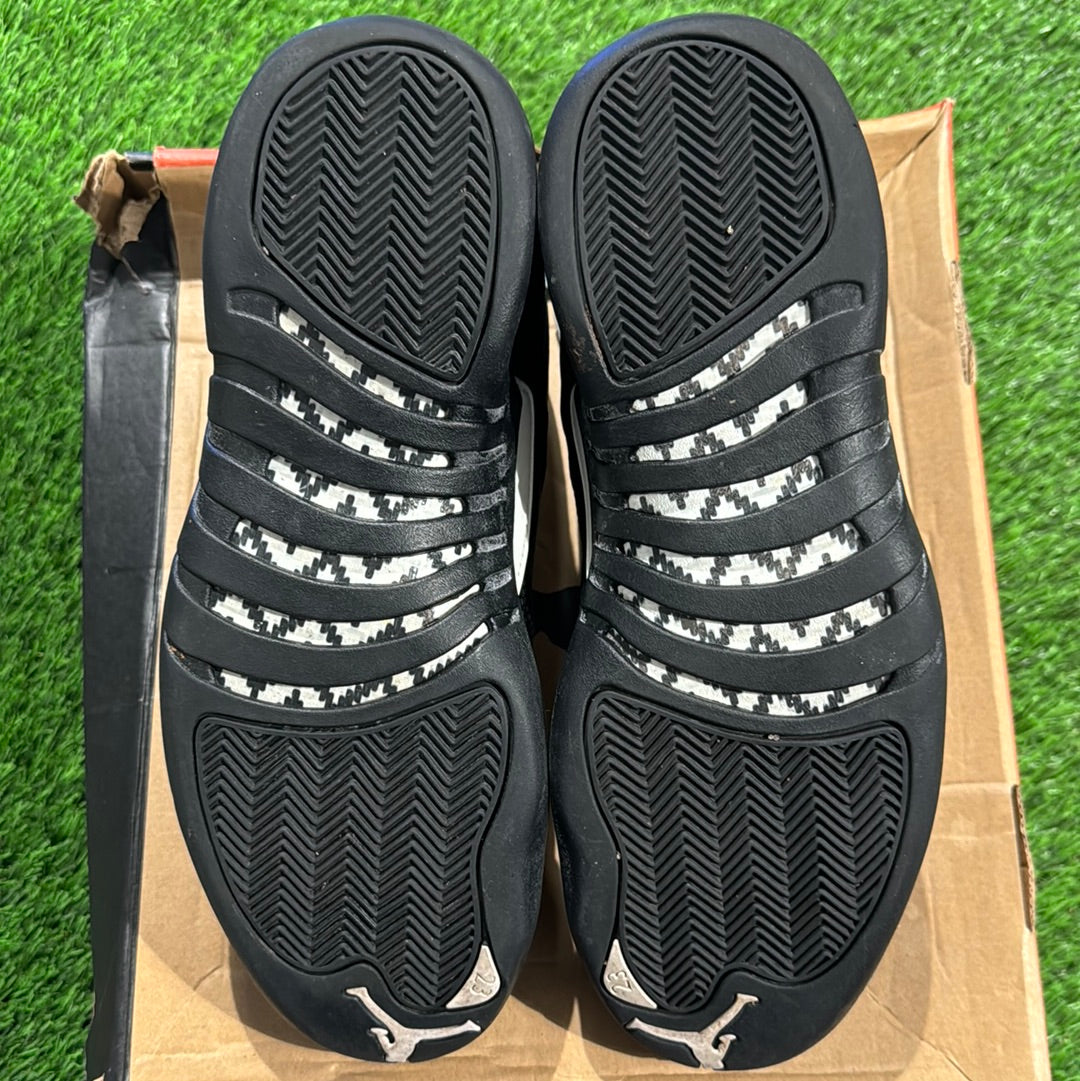 Air Jordan 12 Retro 'The Master'