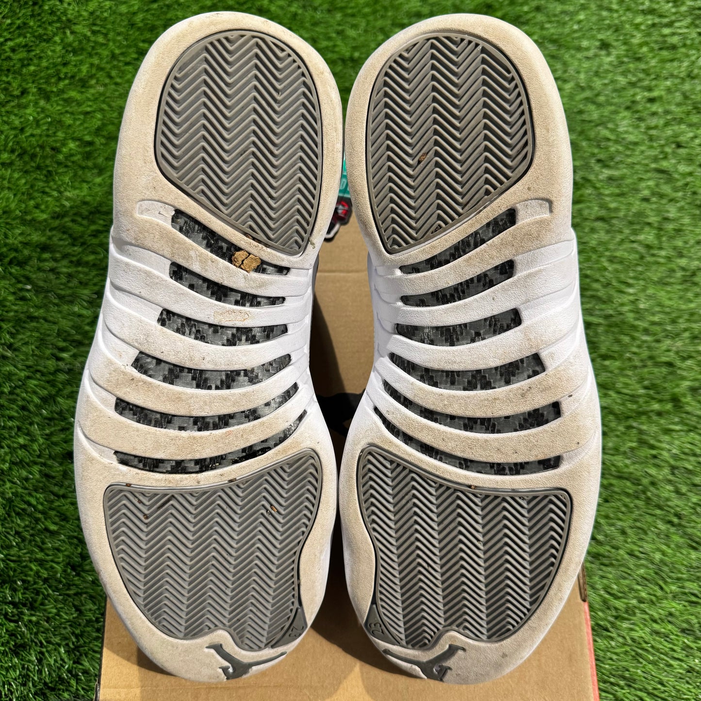 Air Jordan 12 Retro 'Stealth'