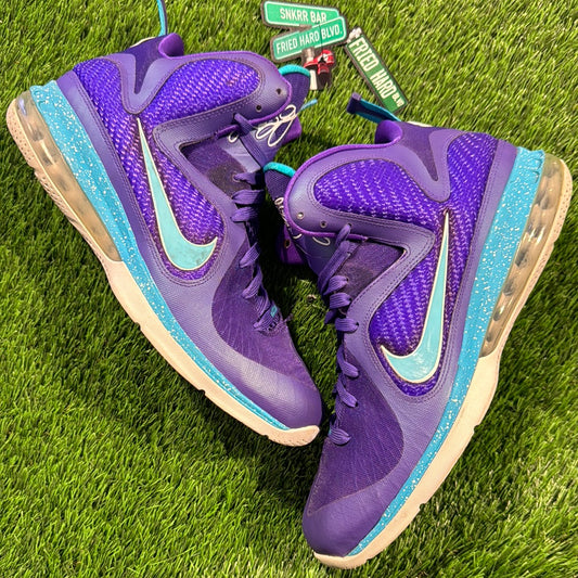 LeBron 9 'Summit Lake Hornets'