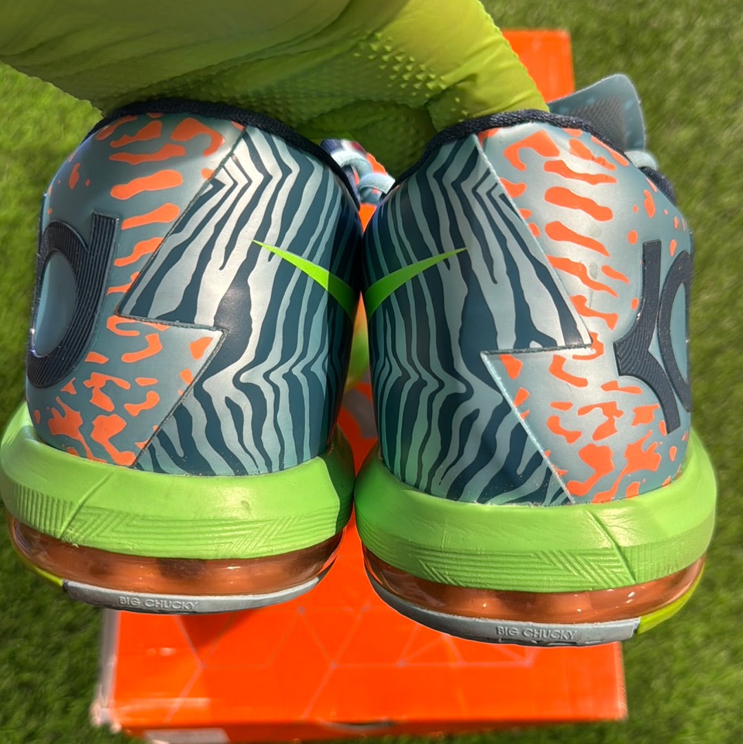 KD 6 'Liger'