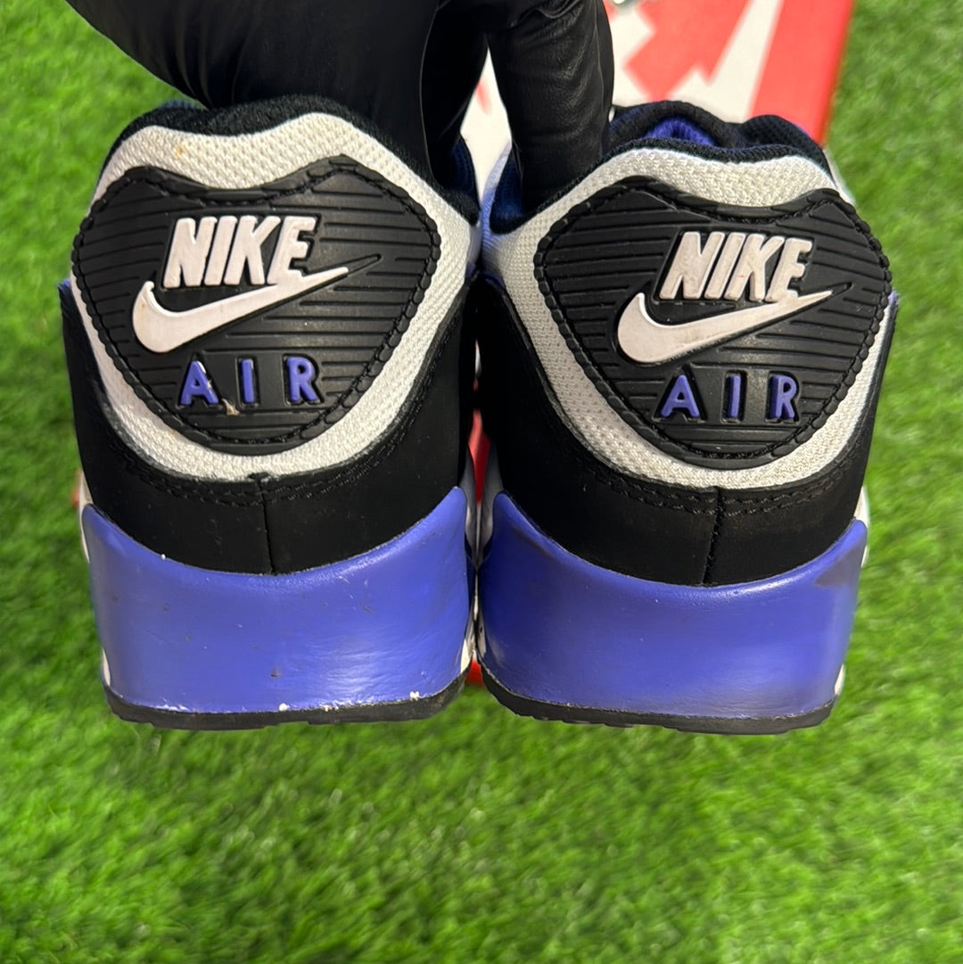 Air Max 90 'Persian Violet'