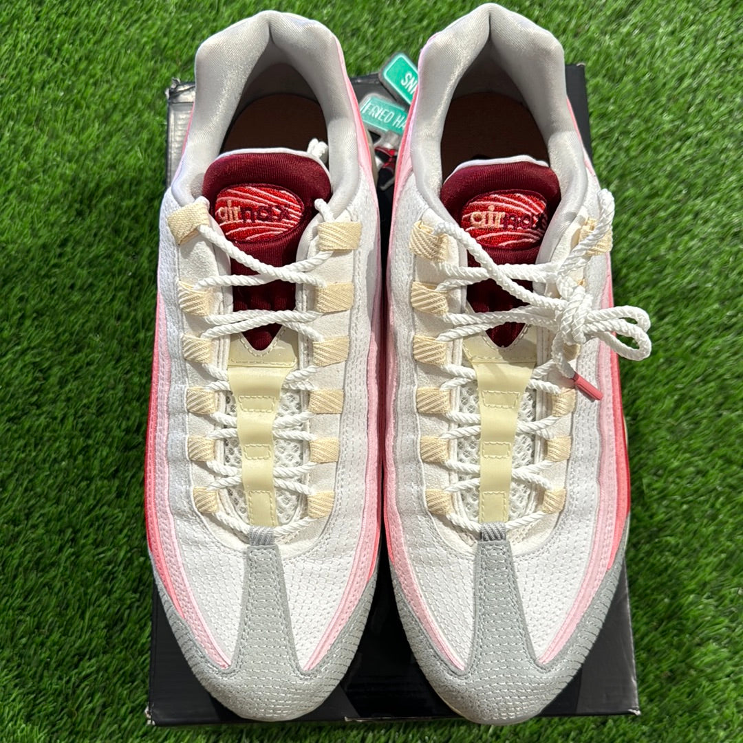 Air Max 95 'Anatomy Of Air'