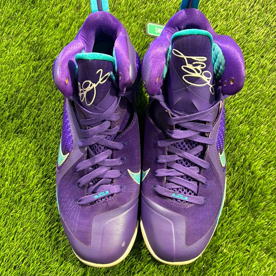 LeBron 9 'Summit Lake Hornets'