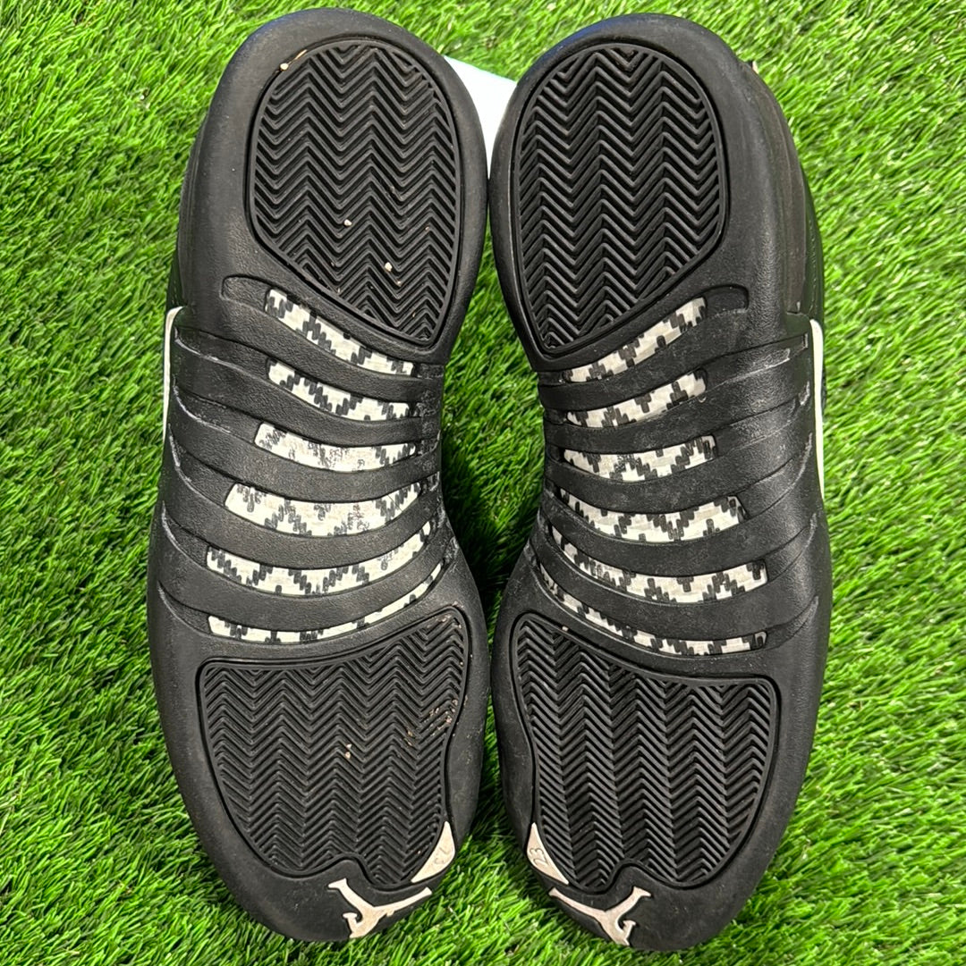 Air Jordan 12 Retro 'The Master'