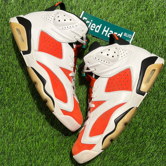 Air Jordan 6 Retro 'Gatorade'