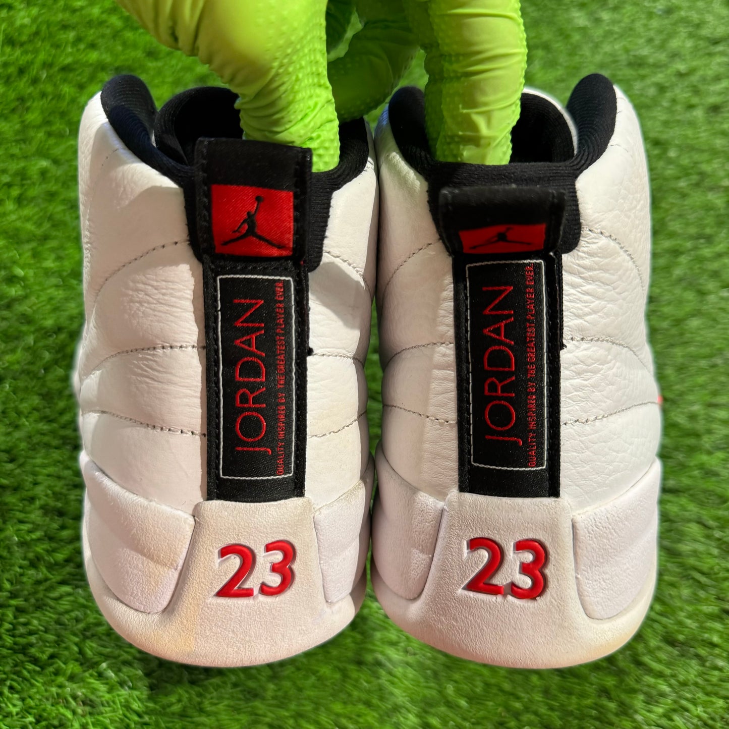 Air Jordan 12 Retro 'Twist'
