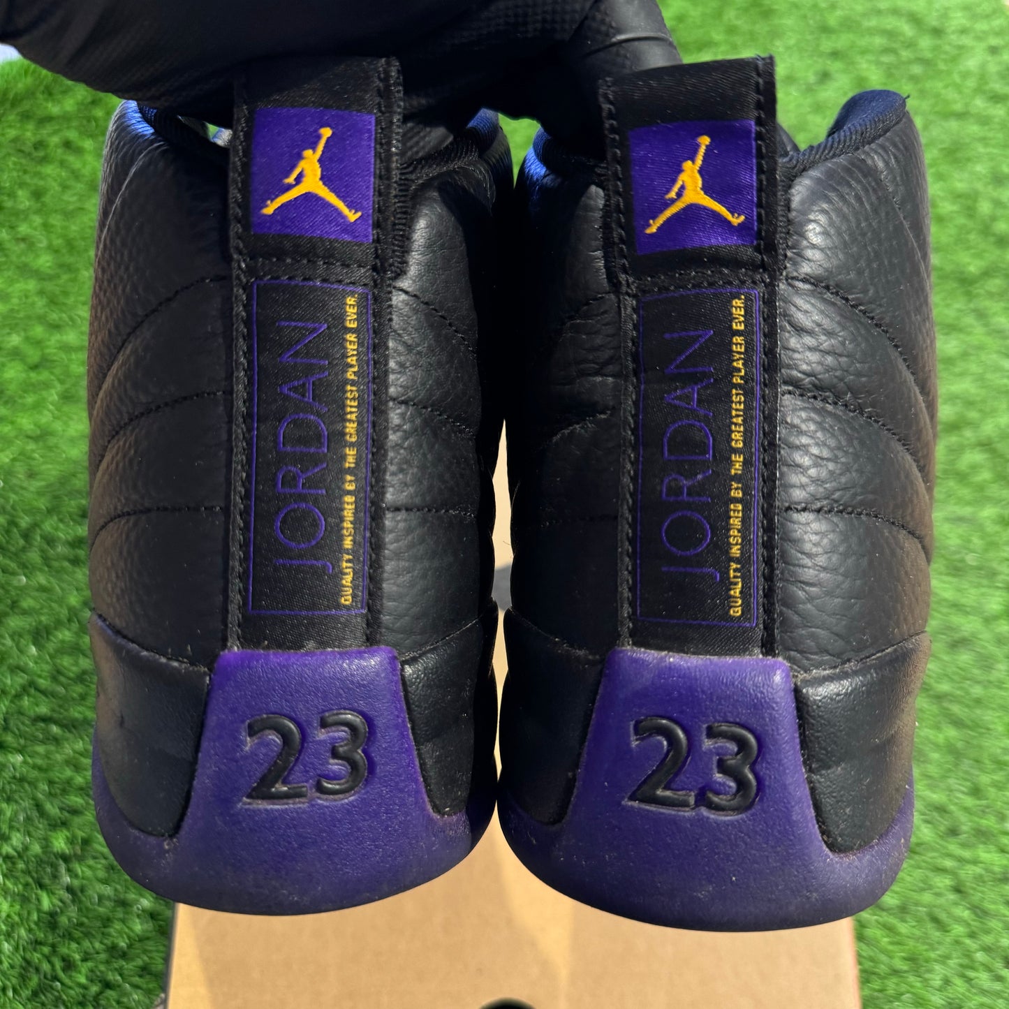 Air Jordan 12 Retro 'Field Purple'