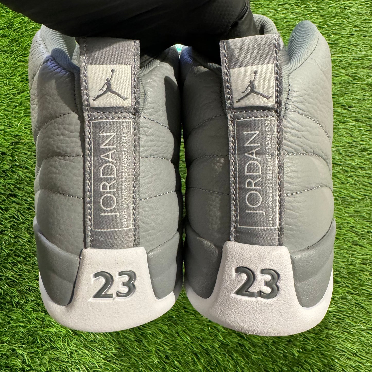 Air Jordan 12 Retro 'Stealth'