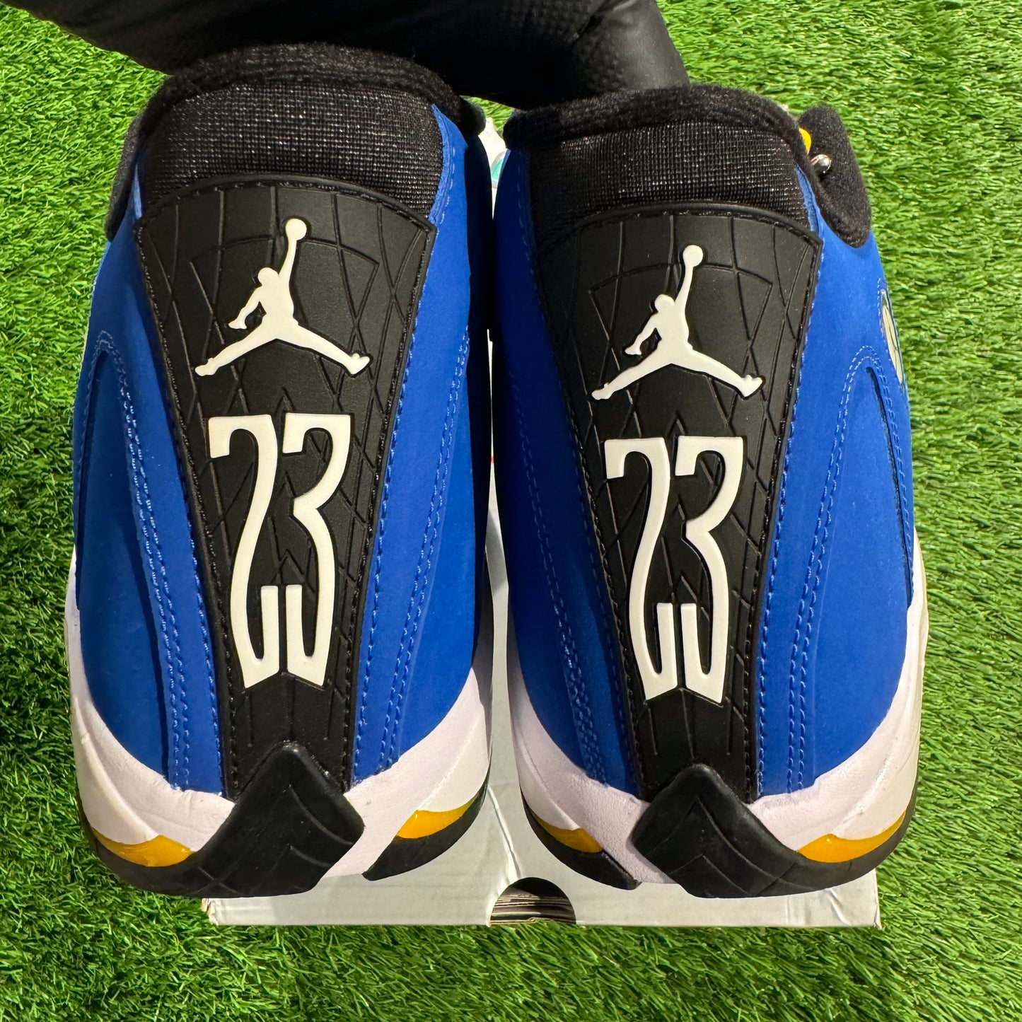 Air Jordan 14 Retro 'Laney'