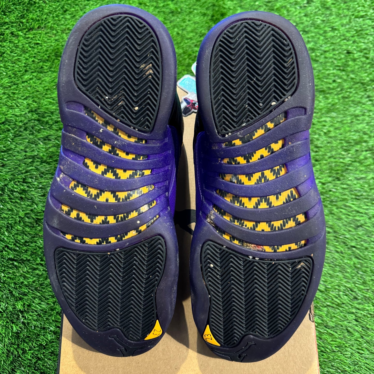 Air Jordan 12 Retro 'Field Purple'