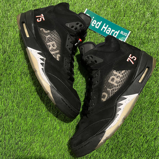 Paris Saint-Germain x Air Jordan 5 Retro