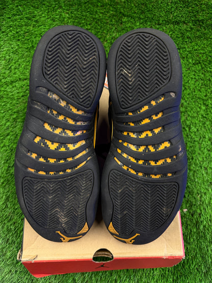 Air Jordan 12 Retro 'Black Taxi'