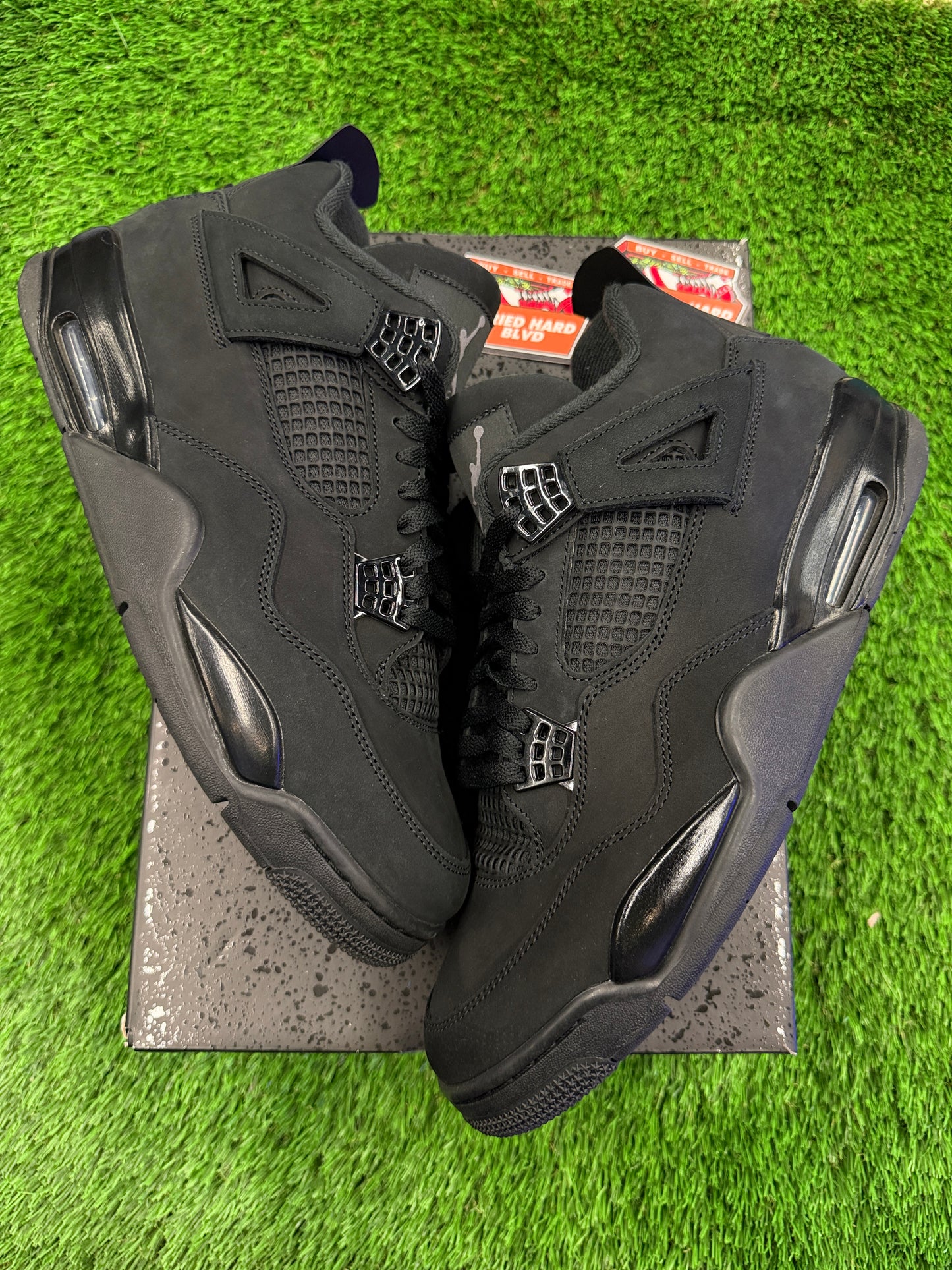 Jordan 4 Retro Black Cat (2025)