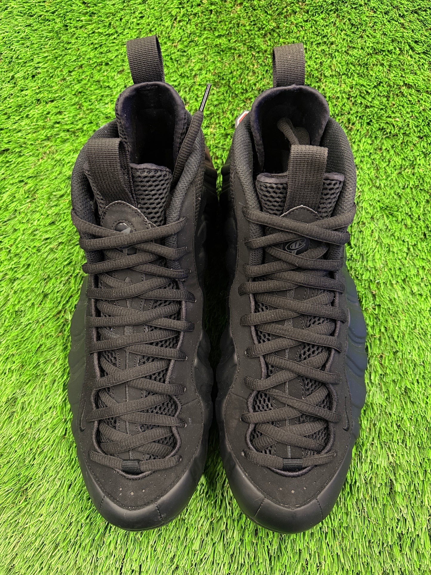Nike Air Foamposite One 'Black'