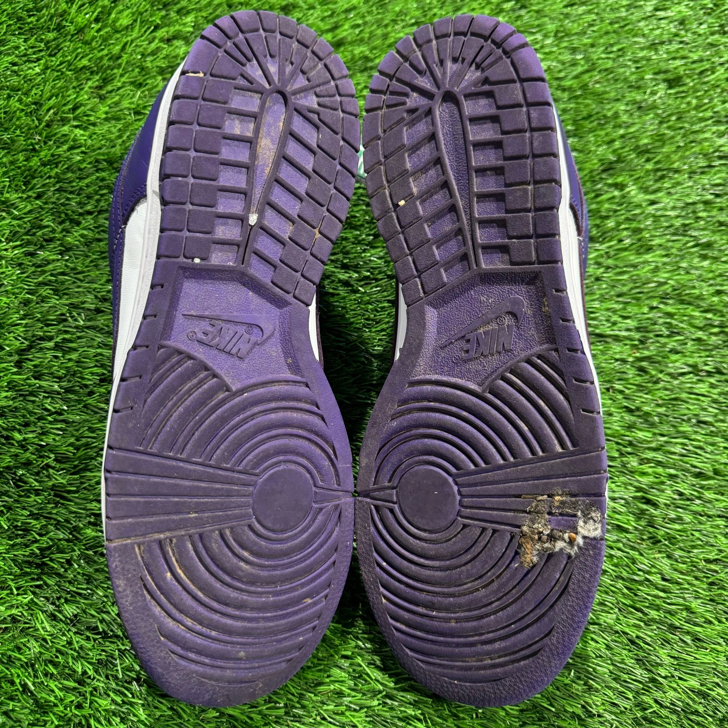 Dunk Low 'Championship Purple'