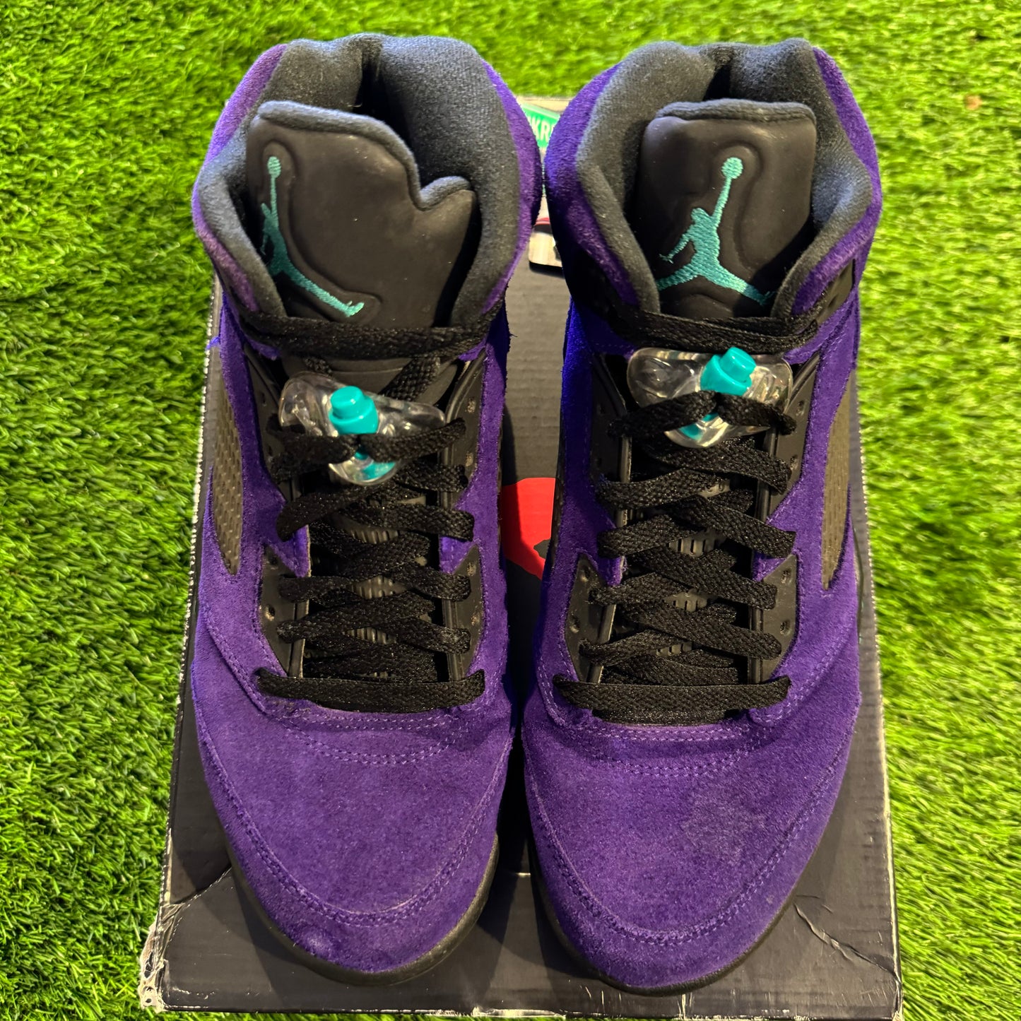 Air Jordan 5 Retro 'Alternate Grape'