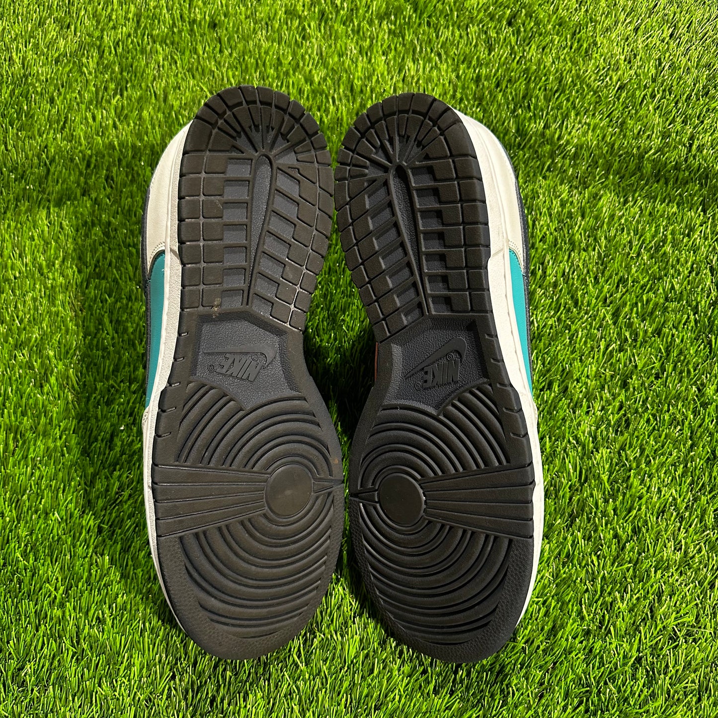 Nike Dunk Low Dusty Cactus