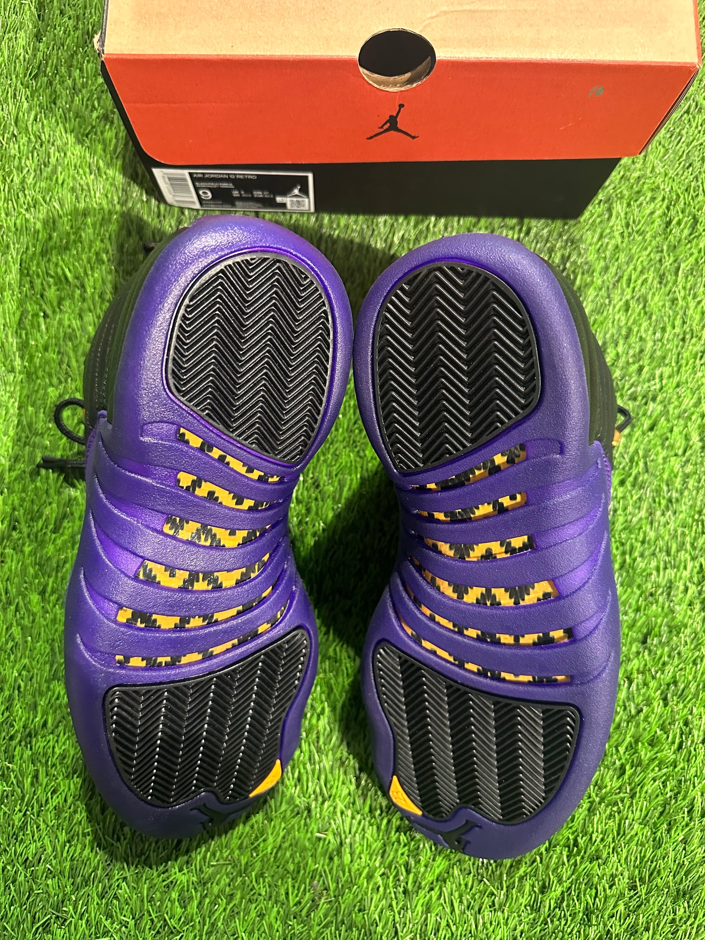 Jordan 12 Retro Field Purple