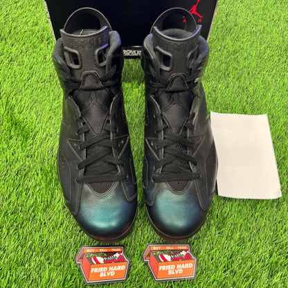 Jordan 6 Retro All-Star Chameleon (2017) SIZE 12M/13.5W