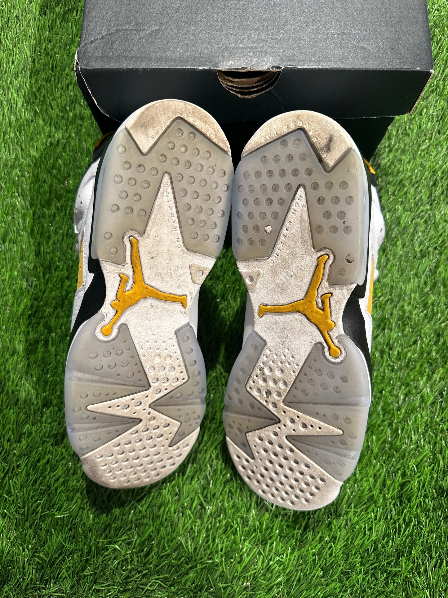 Jordan 6 Retro Yellow Ochre (GS)