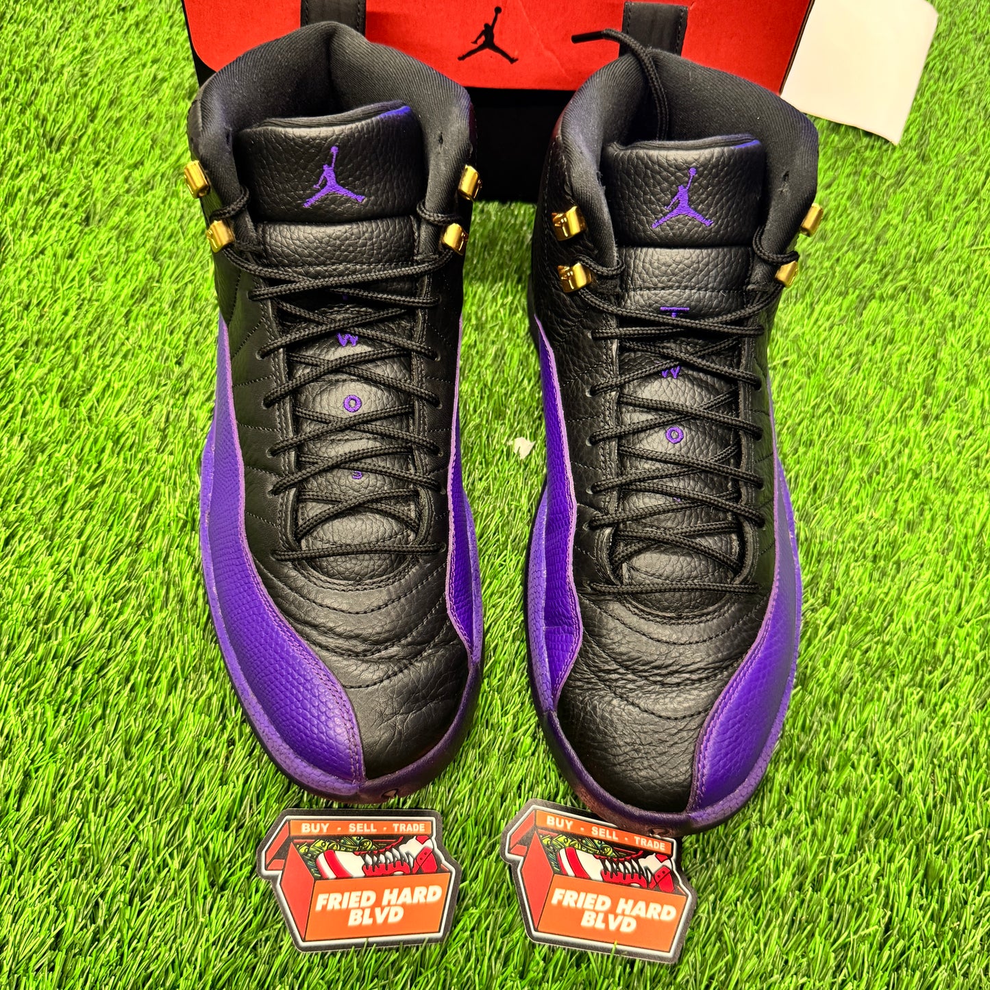 Jordan 12 Retro Field Purple SIZE 11M/12.5W