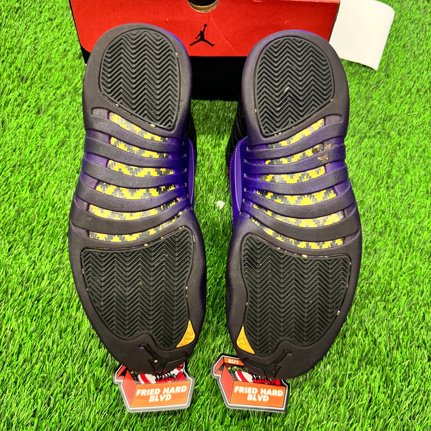 Jordan 12 Retro Field Purple SIZE 11M/12.5W