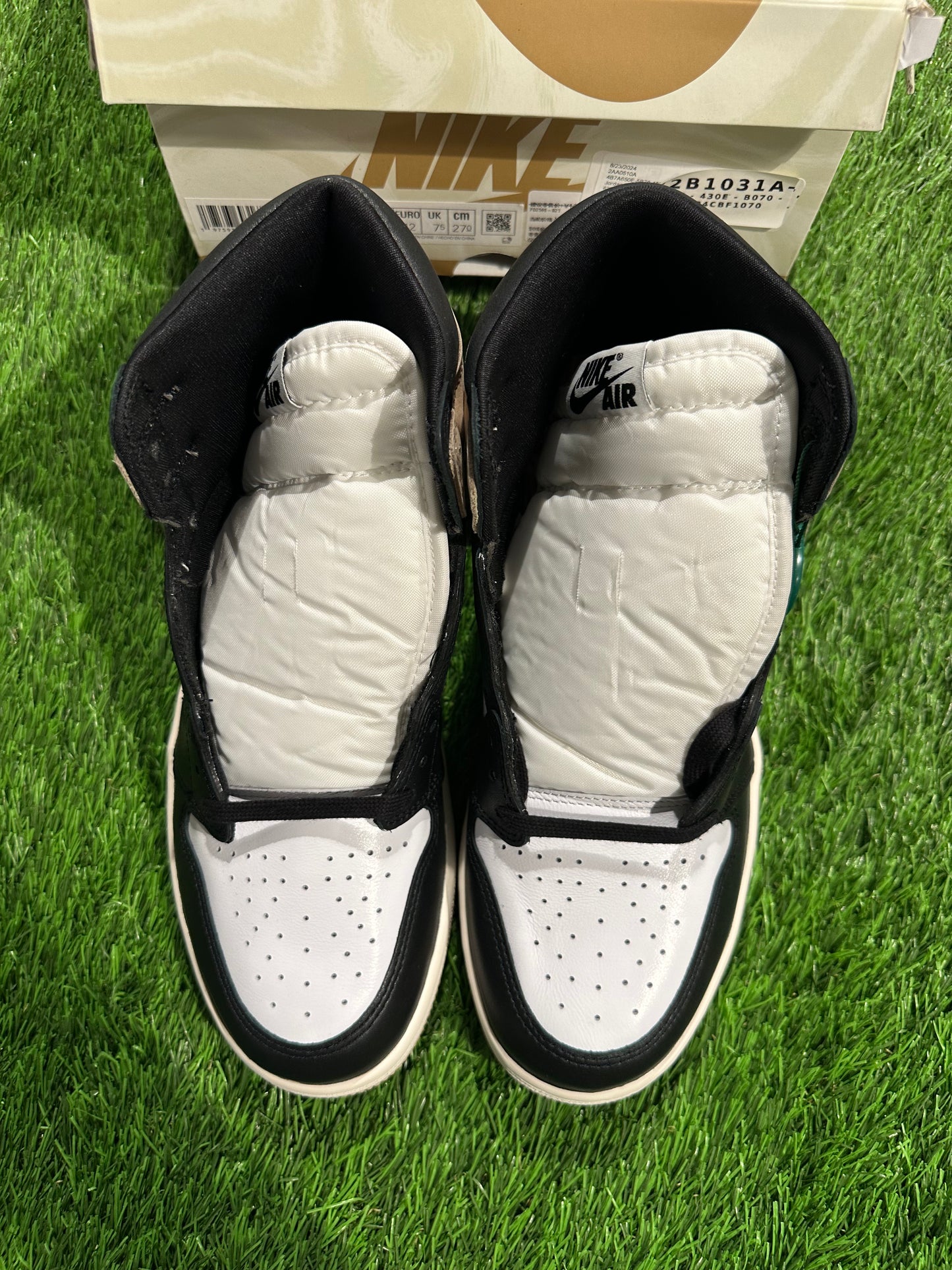Jordan 1 Retro High OG Latte (Women's)