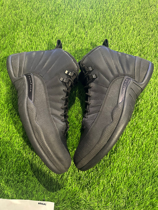 Jordan 12 Retro Winter Black