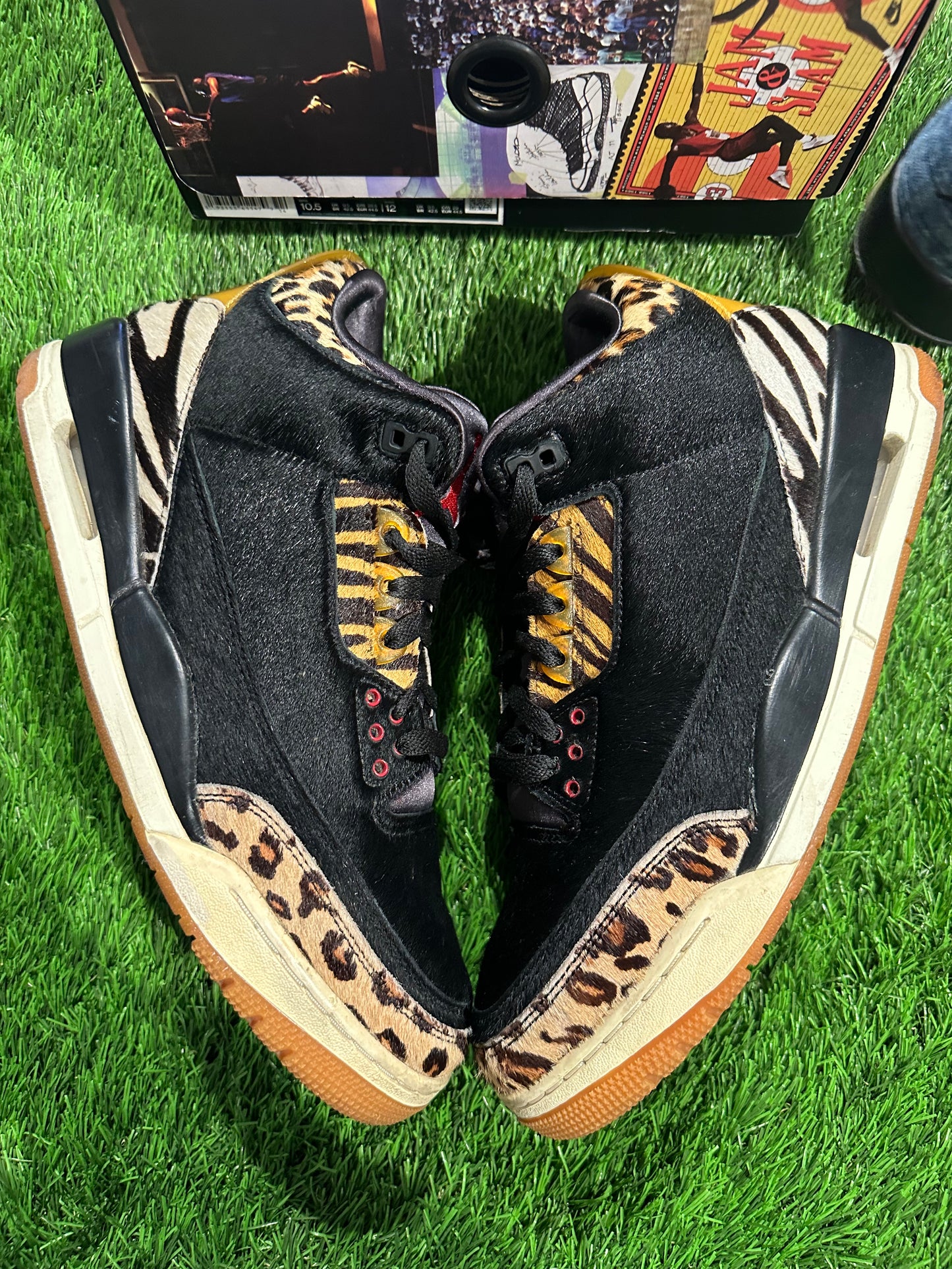 Jordan 3 Retro SE Animal Instinct