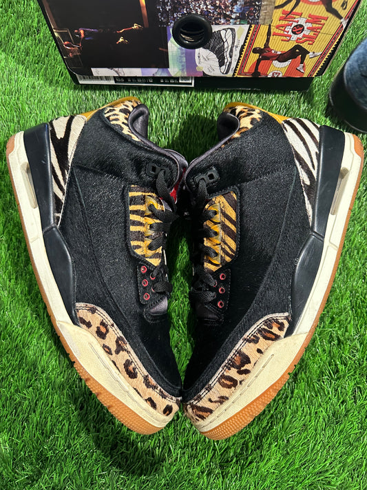 Jordan 3 Retro SE Animal Instinct