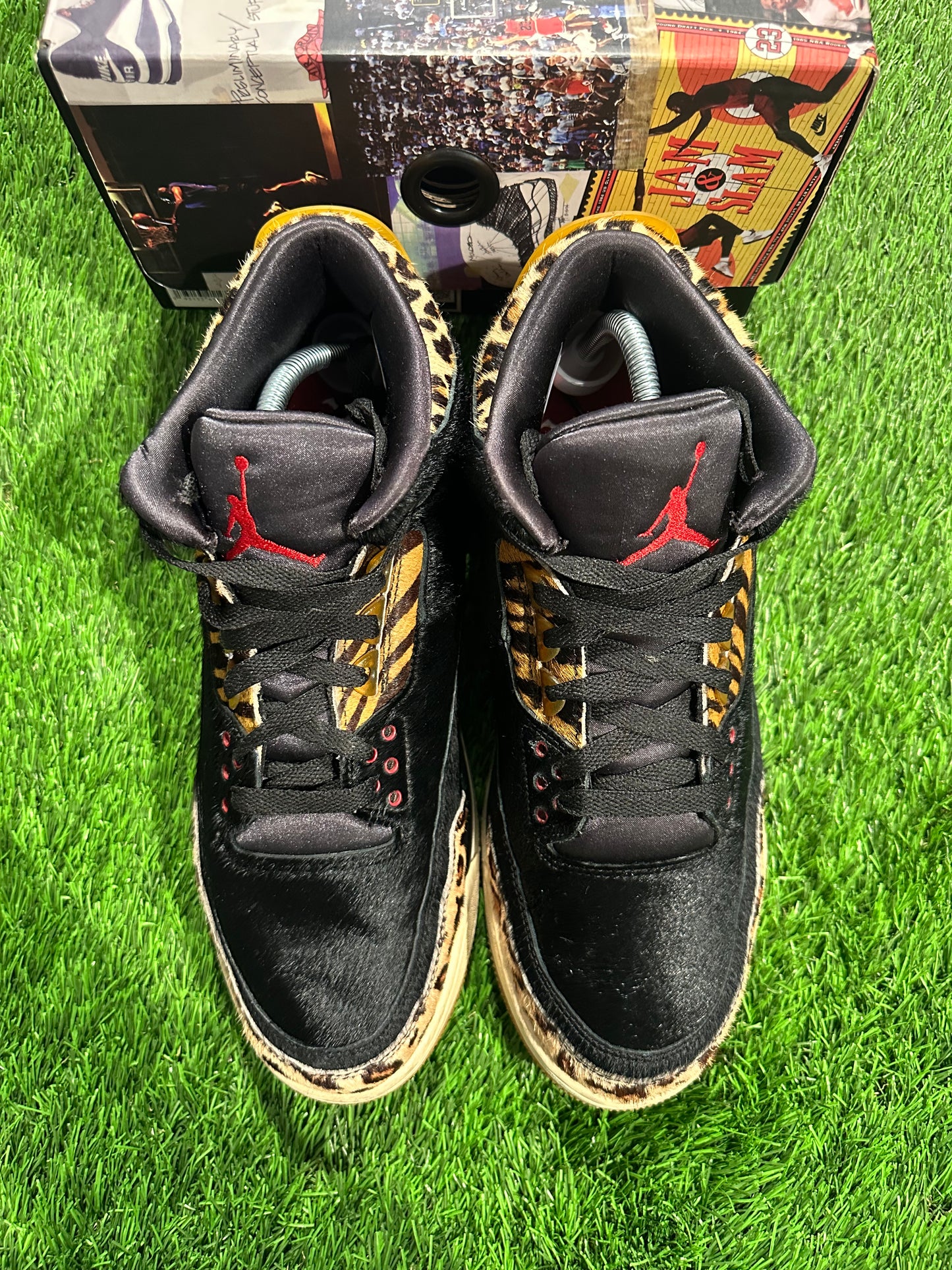 Jordan 3 Retro SE Animal Instinct