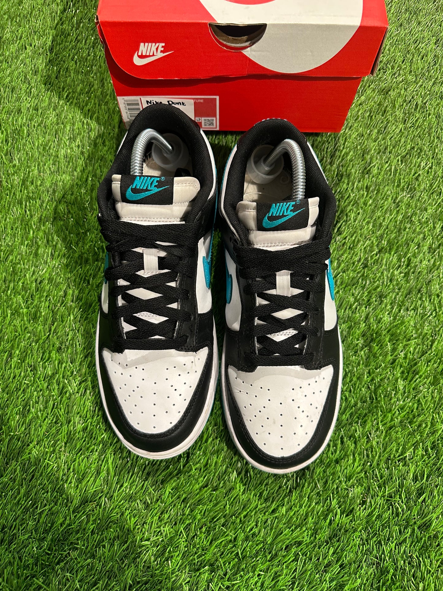 Dunk Low Black Dusty Cactus SIZE 8M/9.5W