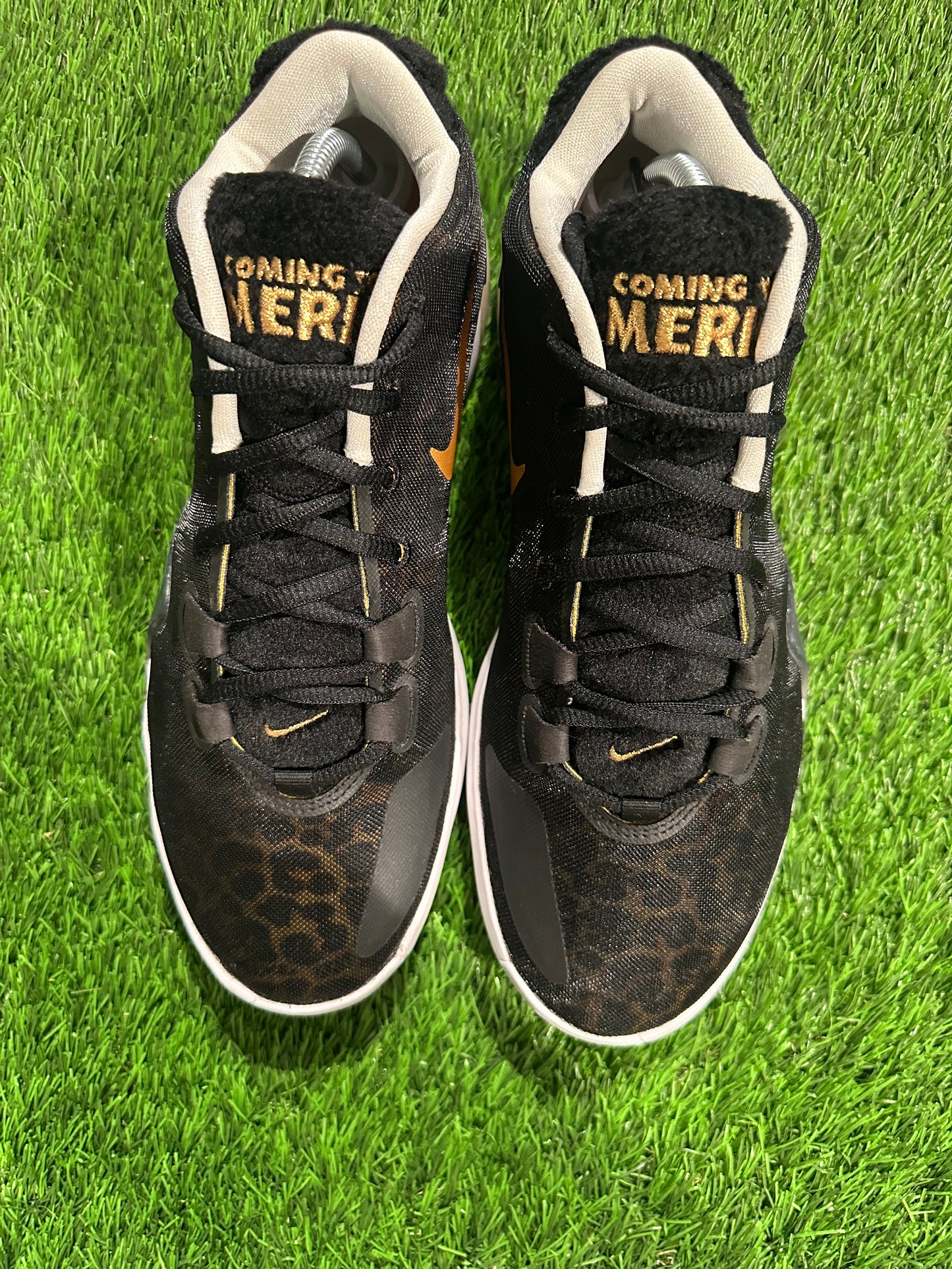 Nike Zoom Freak 1 Coming to America