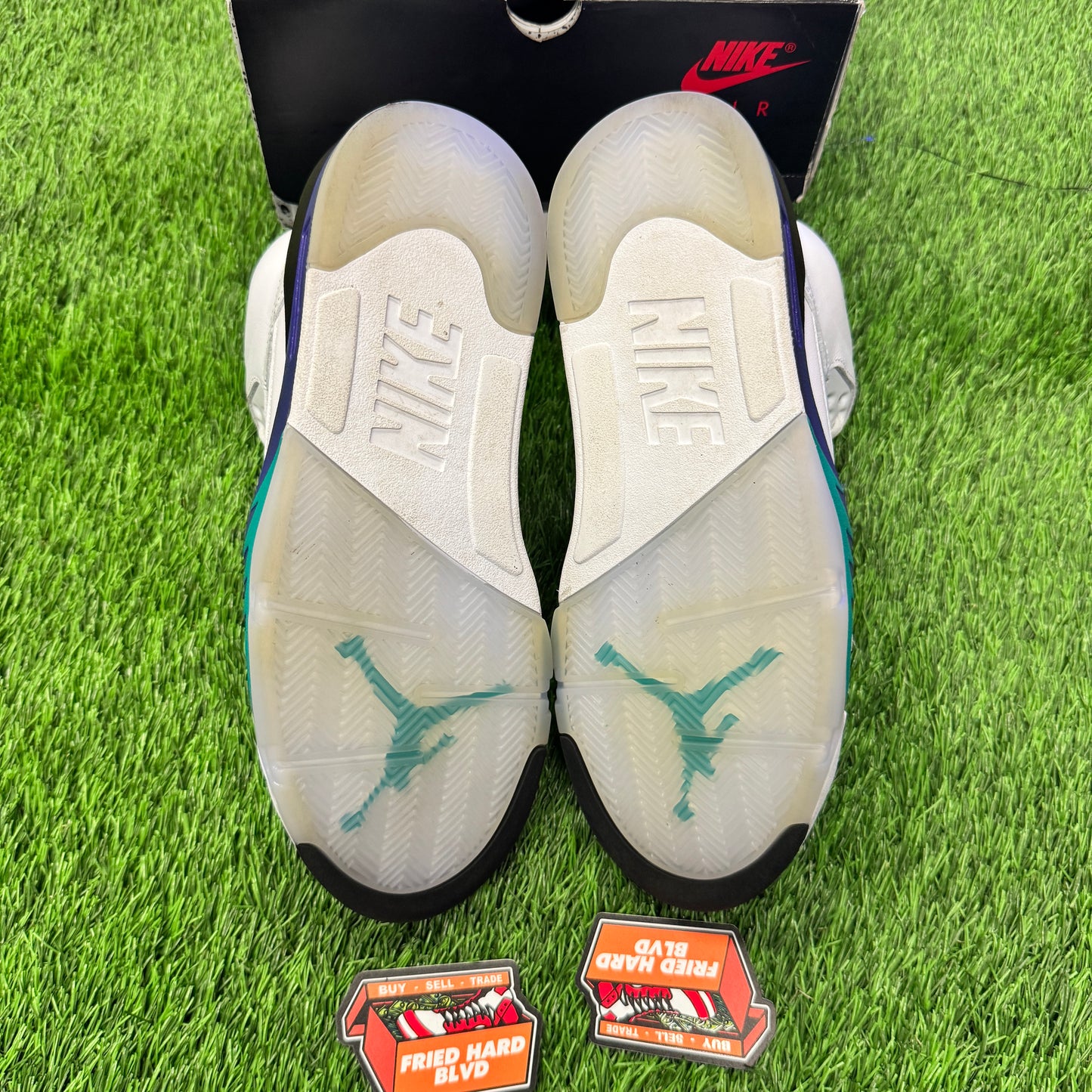 Jordan 5 Retro Grape (2025) SIZE 9M/10.5W