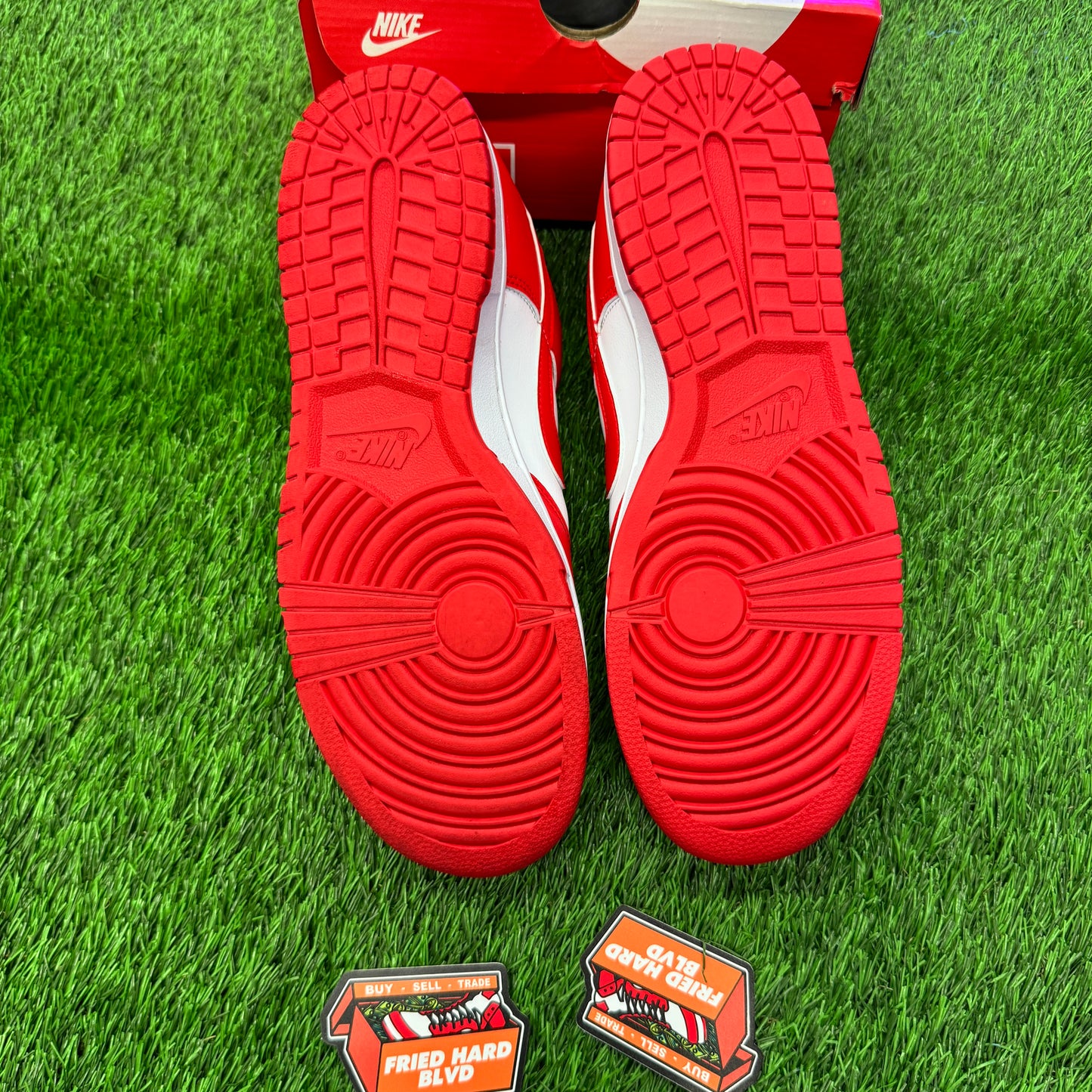 Dunk Low St. Johns (2025) SIZE 11M/12.5W