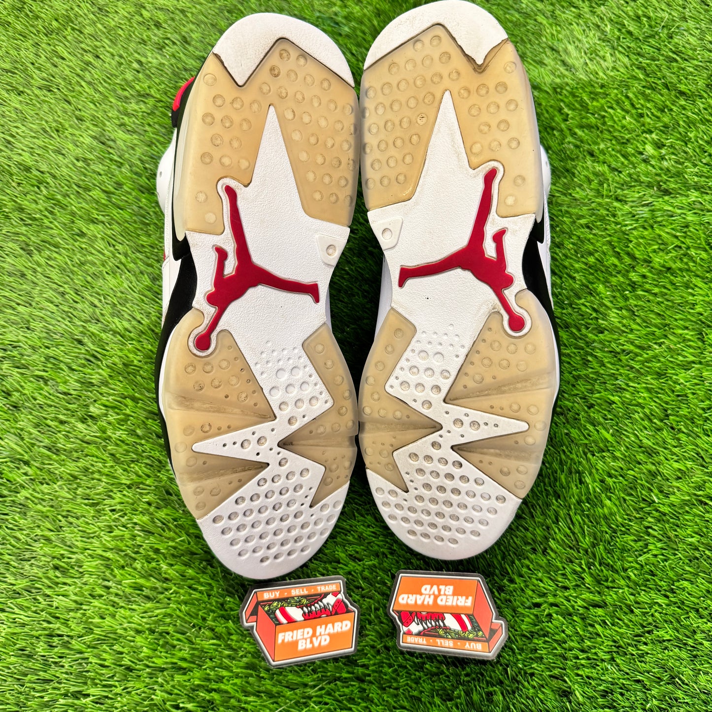 Jordan 6 Retro Carmine (2021) SIZE 13M/14.5W