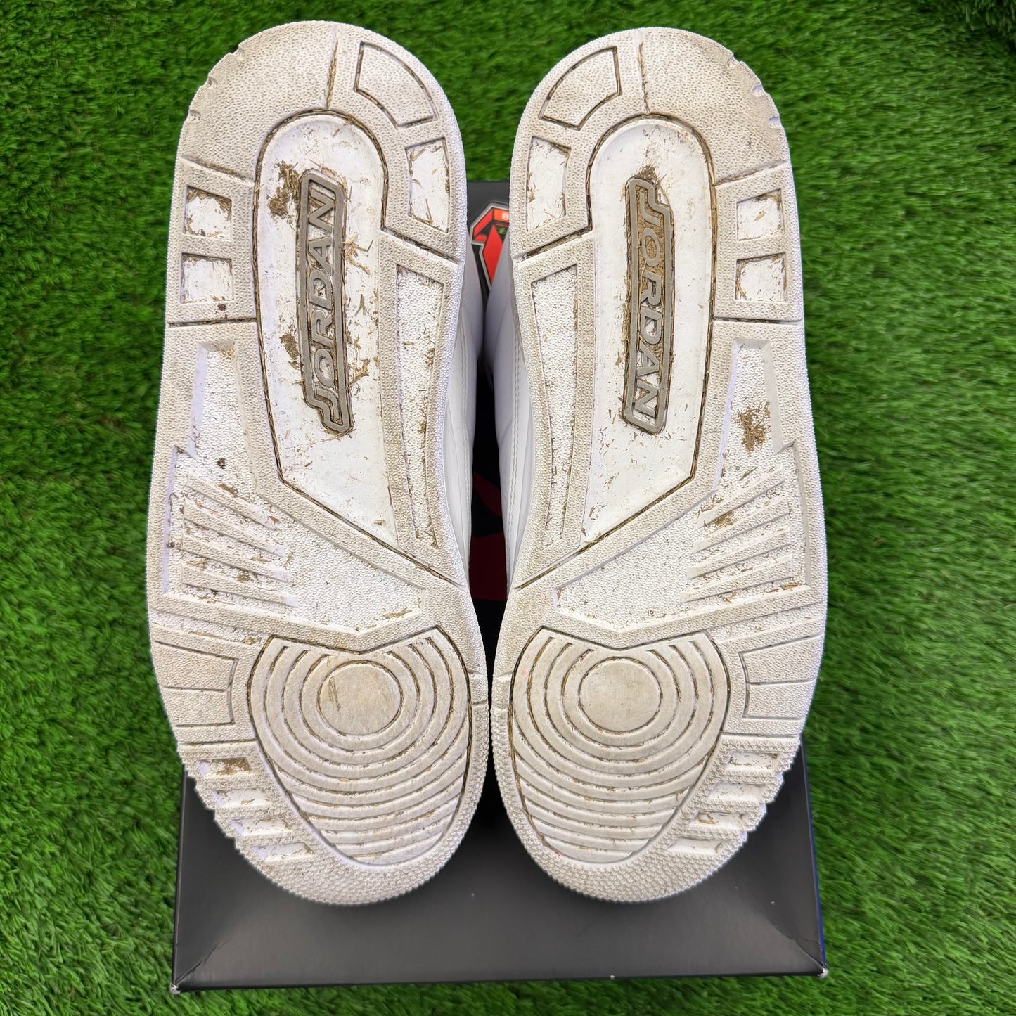 Jordan 3 Retro Pure Money (2025)