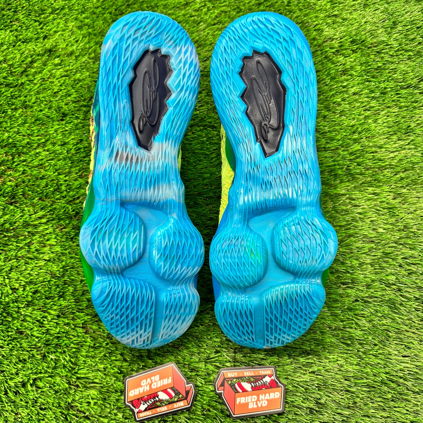 LeBron 17 Mr. Swackhammer SIZE 15M/16.5W