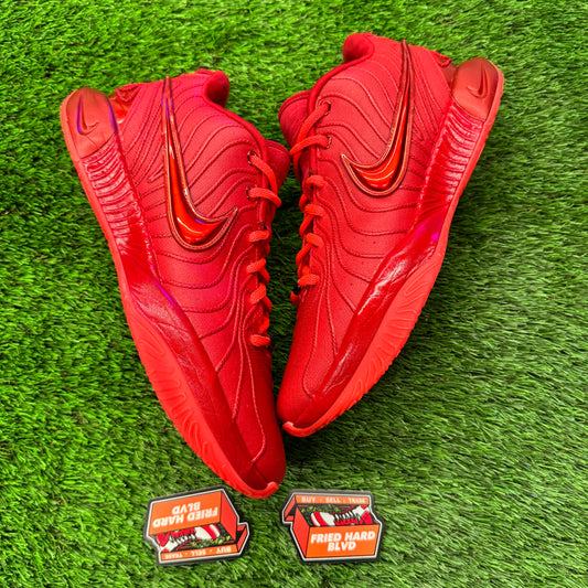 LeBron 21 James Gang SIZE 11M/12.5W