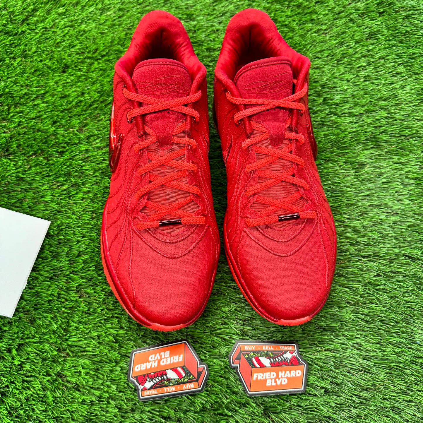 LeBron 21 James Gang SIZE 11M/12.5W