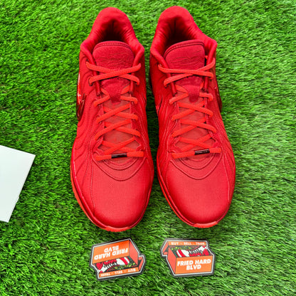 LeBron 21 James Gang SIZE 11M/12.5W
