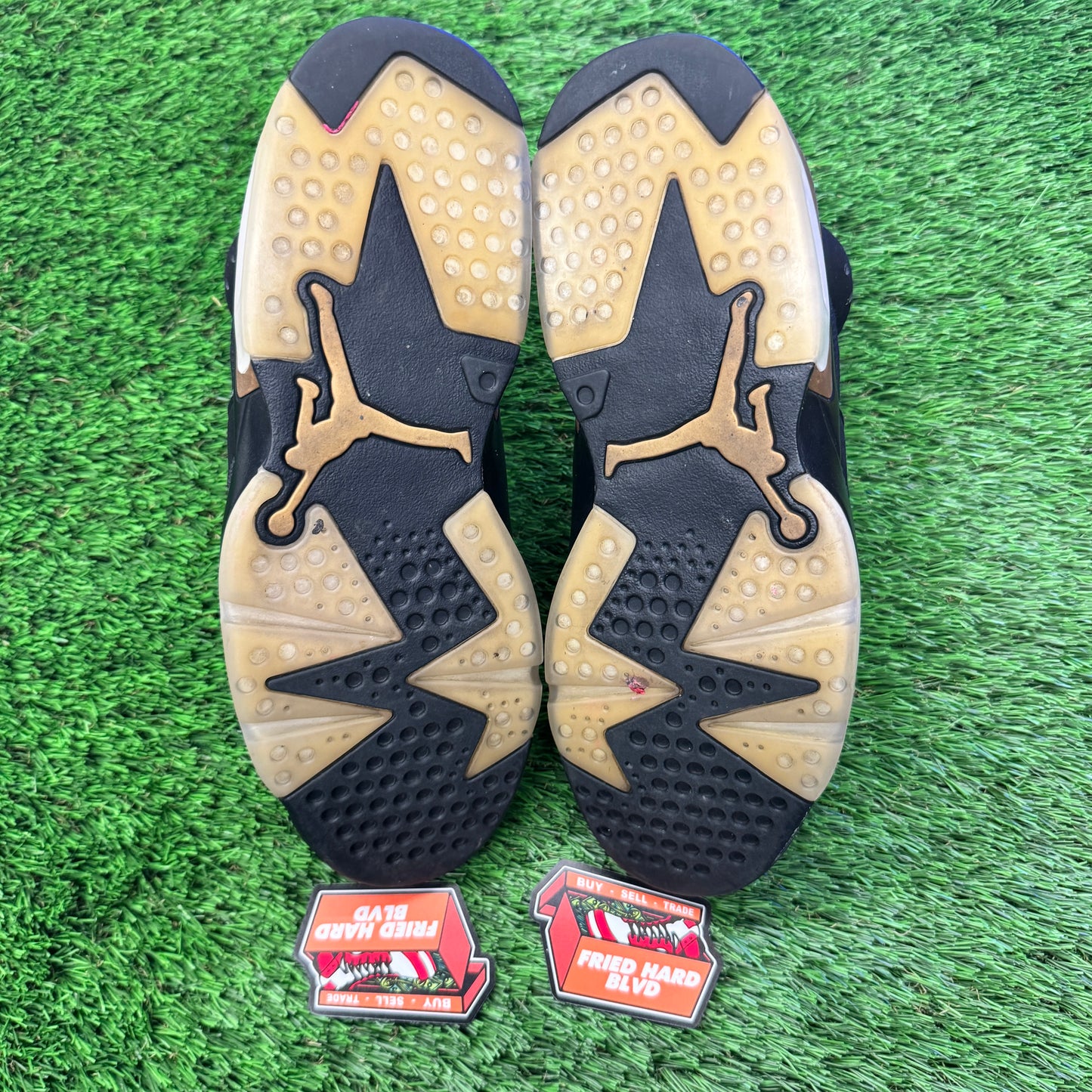 Jordan 6 Retro DMP (2020) SIZE 10M/11.5W