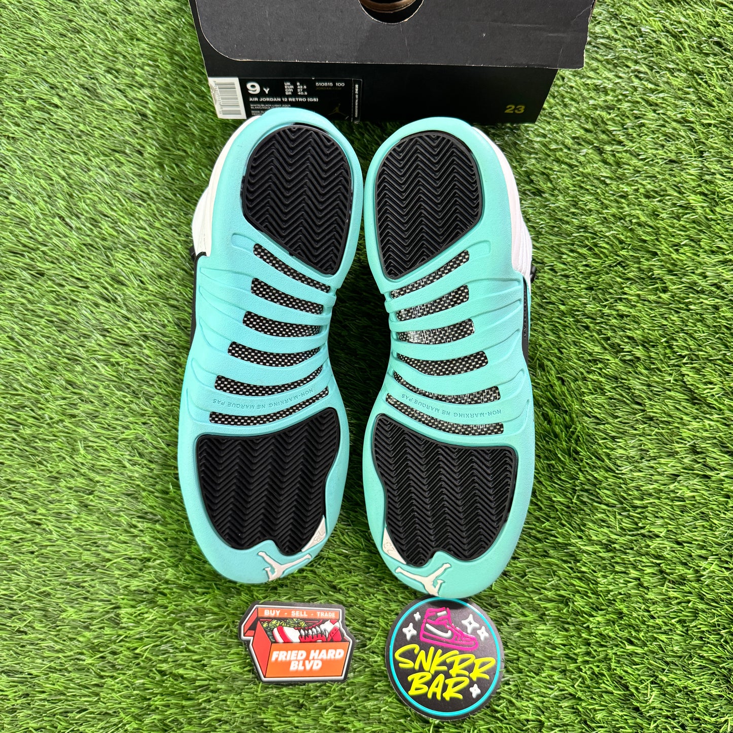Jordan 12 Retro Light Aqua (GS)
