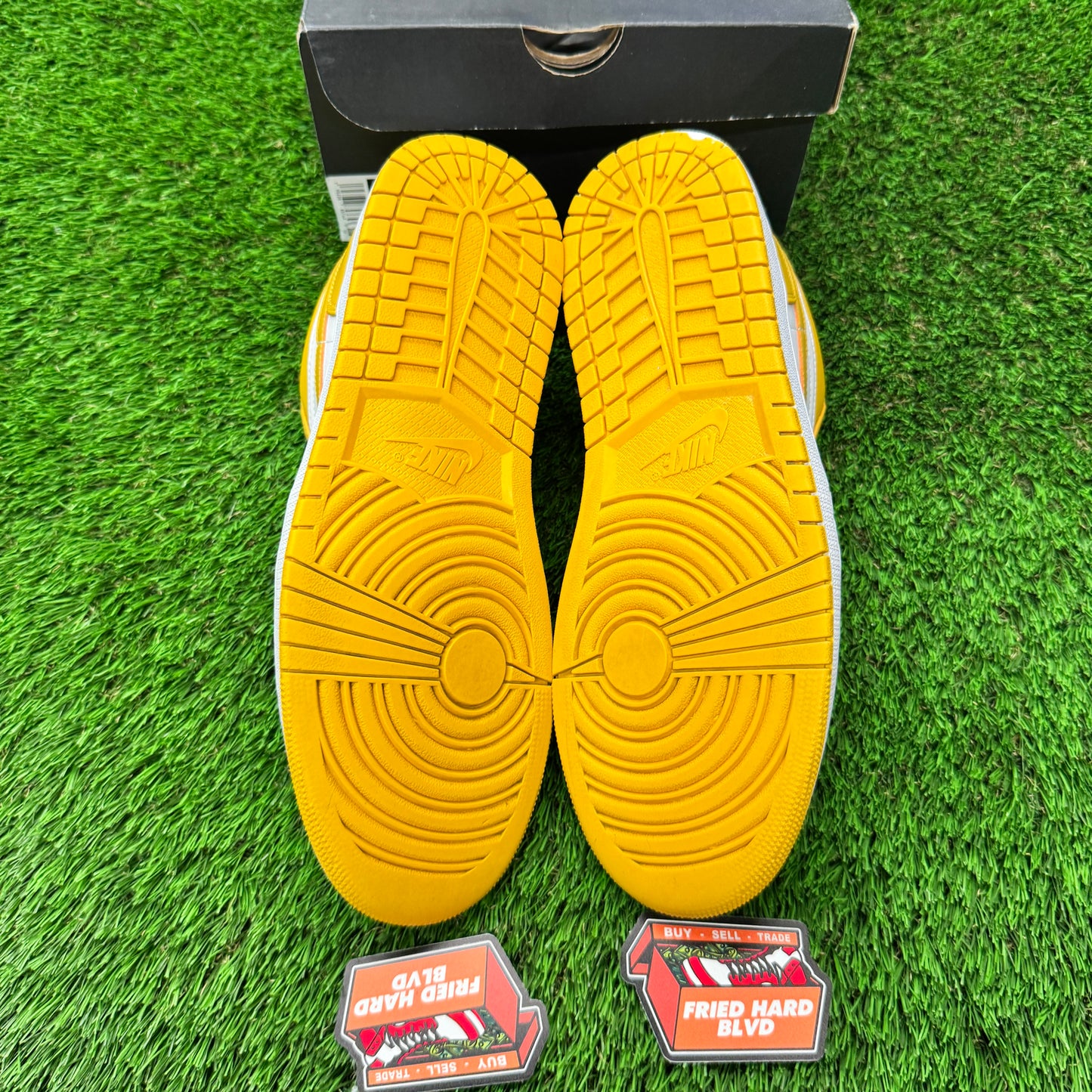 Jordan 1 Low Pollen 10.5M/12W